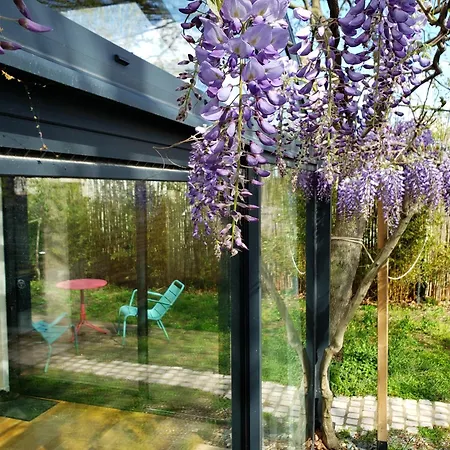 Villa Le Mazet Des Amants, En Bois Avec Jacuzzi Privatif Avignon